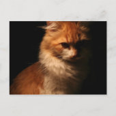 Carte Postale Jule (Devant)