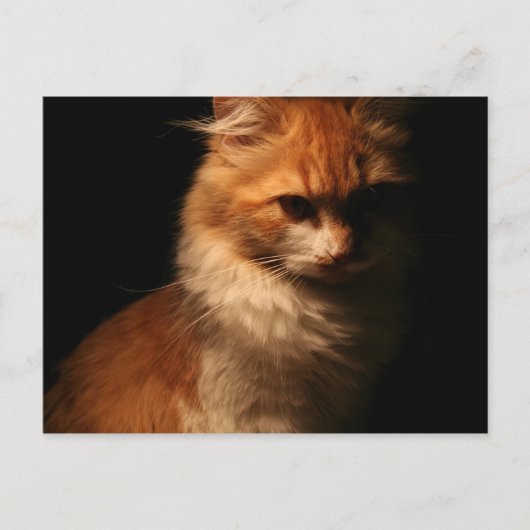 Carte Postale Jule (Devant)