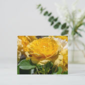 Carte Postale Julia Child Rose (Debout devant)