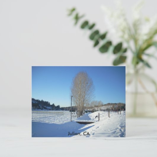 Carte Postale Julian, CA (Debout devant)