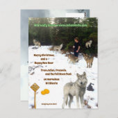 Carte Postale Julien, Francois, et le pack Pleine lune (Devant / Derrière)