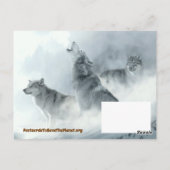 Carte Postale Julien, Francois, et le pack Pleine lune (Dos)