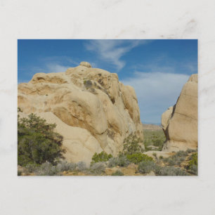 Carte Postale Jumbo Rocks au parc national Joshua Tree