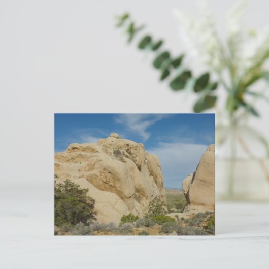 Carte Postale Jumbo Rocks au parc national Joshua Tree (Debout devant)