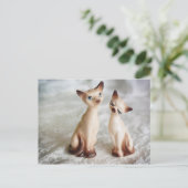 Carte Postale jumeaux (Debout devant)