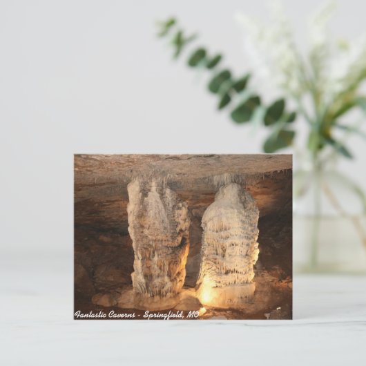 Carte Postale Jumeaux (Debout devant)