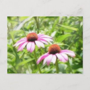 Carte Postale Jumeaux de coneflower