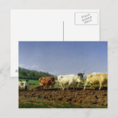 Carte Postale Jumelage à Nivernais, 1849 (Devant / Derrière)