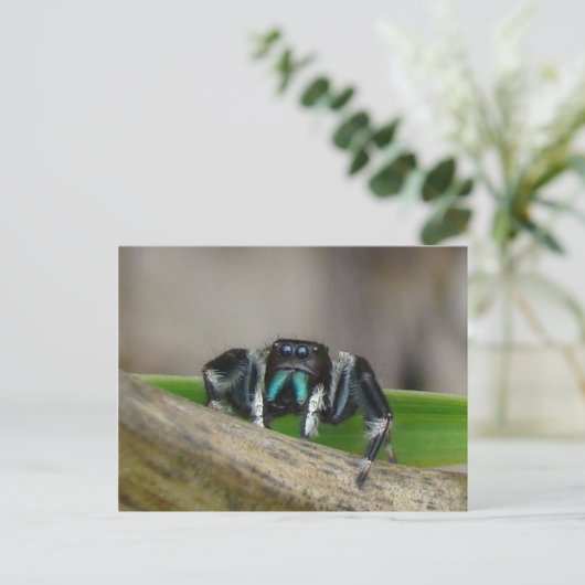 Carte Postale Jumping Jack ! (Debout devant)