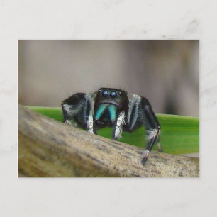 Carte Postale Jumping Jack !