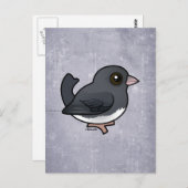 Carte Postale Junco ardoisé (Devant / Derrière)