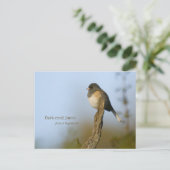 Carte Postale Junco aux yeux sombres (Debout devant)