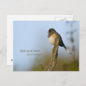 Carte Postale Junco aux yeux sombres (Devant / Derrière)