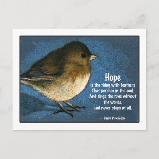 CARTE POSTALE JUNCO BIRD AVEC DIT (Devant)