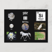 Carte Postale June Postcard (Devant)