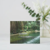 Carte Postale Jungle (Debout devant)