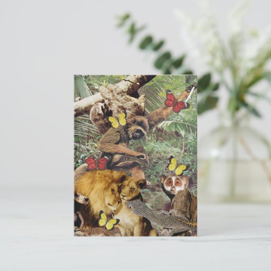 Carte postale Jungle Jive (Debout devant)