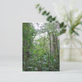 Carte Postale jungle sauvage (Debout devant)