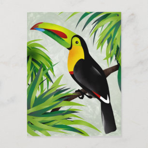 Carte Postale Jungle Toucan