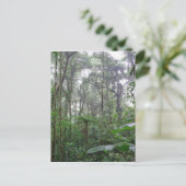 Carte Postale jungle verte (Debout devant)