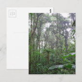 Carte Postale jungle verte (Devant / Derrière)