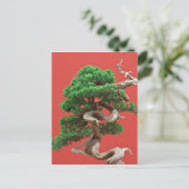Carte Postale Juniper bonsai (Debout devant)