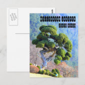 Carte Postale Juniper du millénaire à Gapyeong Corée (Devant / Derrière)
