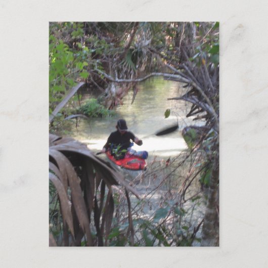 Carte Postale Juniper Springs, Fl (Devant)