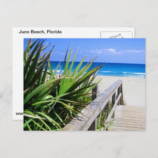 Carte Postale Juno Beach Floride (Devant / Derrière)