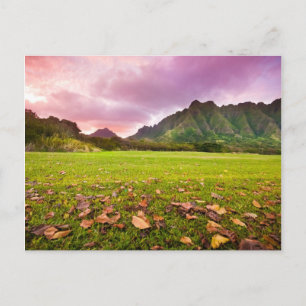 Carte Postale Jurassic Sunset