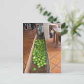 Carte Postale Jus de citron ou jus d'ananas ? (Debout devant)