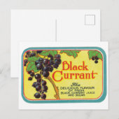 Carte Postale Jus de currant noir Berries foncées Art Étiquette (Devant / Derrière)