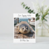 Carte Postale Just Saying Hi | Keeping in Touch Cute Seal (Debout devant)
