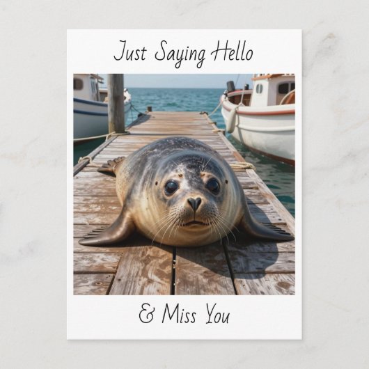 Carte Postale Just Saying Hi | Keeping in Touch Cute Seal (Devant)
