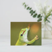 Carte Postale Juste à traîner (Debout devant)