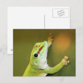 Carte Postale Juste à traîner (Devant / Derrière)