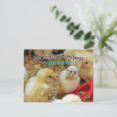 Carte Postale Juste accrocher avec mes Peeps (Debout devant)