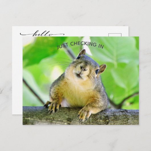 Carte Postale Juste Archiver (Devant / Derrière)