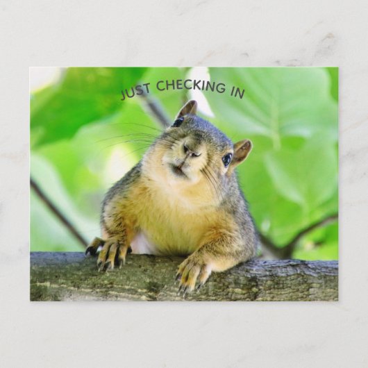 Carte Postale Juste Archiver (Devant)