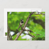 Carte Postale Juste Assis Autour (Devant / Derrière)