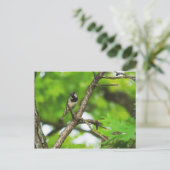 Carte Postale Juste Assis Autour (Debout devant)