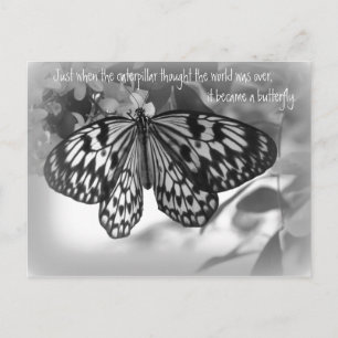 Carte Postale Juste au moment où la chenille pensait le monde