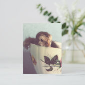 Carte Postale Juste Chillin' (Debout devant)