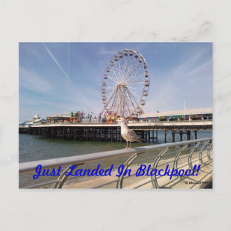 Carte Postale Juste débarqué