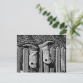 Carte Postale Juste des bottes (Debout devant)