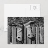 Carte Postale Juste des bottes (Devant / Derrière)