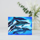 Carte Postale Juste des dauphins (Debout devant)