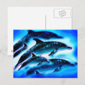 Carte Postale Juste des dauphins (Devant / Derrière)