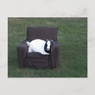 Carte Postale Juste détendez-vous