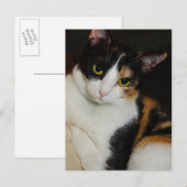 Carte Postale Juste en train de se pendre (Devant / Derrière)